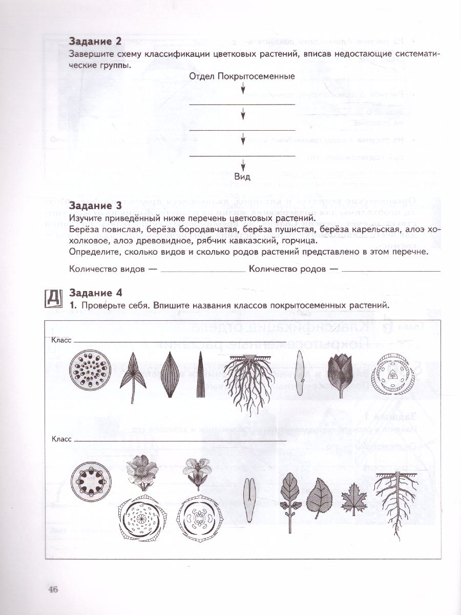 картинка Биология 6 класс. Рабочая тетрадь №2. ФГОС от магазина Рослит