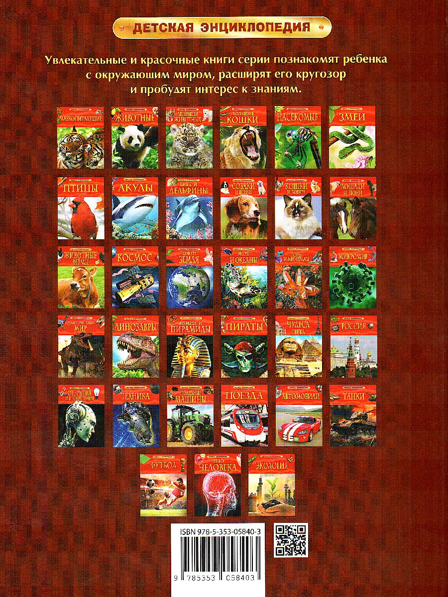 Обложка Тело человека (ДЭР), издательство РОСМЭН | купить в книжном магазине Рослит