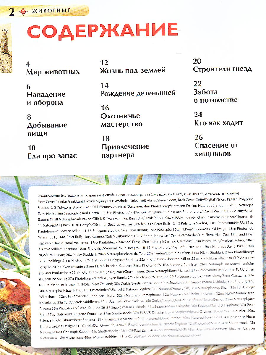 Обложка Животные, издательство РОСМЭН | купить в книжном магазине Рослит