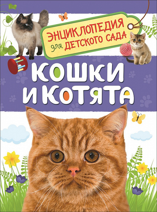 Обложка Кошки и котята (Энциклопедия для детского сада), издательство РОСМЭН | купить в книжном магазине Рослит