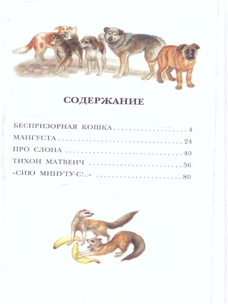 Обложка книги Рассказы про животных / Детское чтение, Автор Житков Б.С., издательство АСТ | купить в книжном магазине Рослит