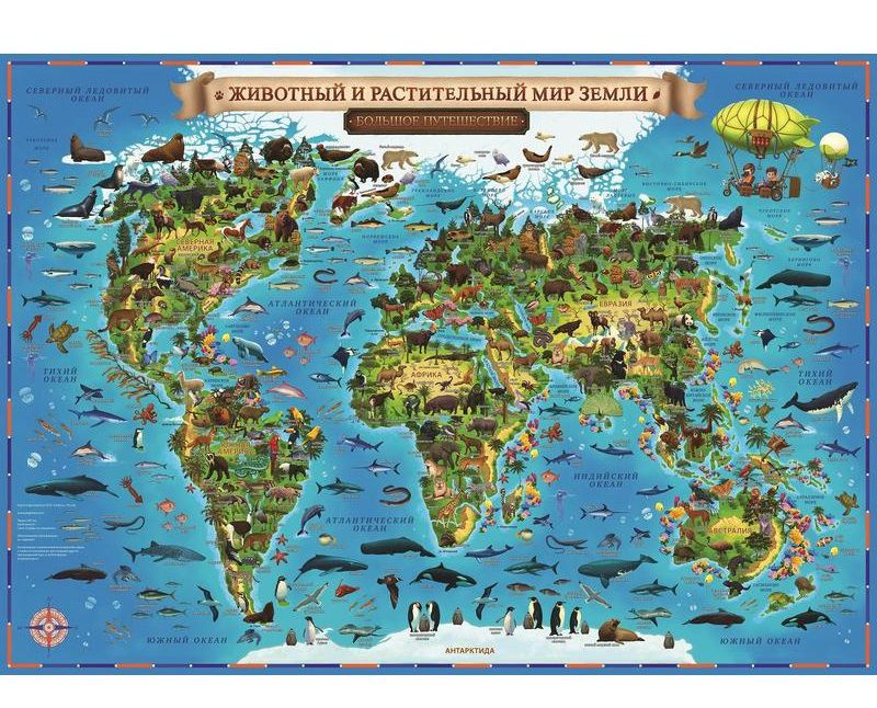 Обложка книги Карта Мира для детей "Животный и растительный мир Земли"101х69 (с ламинацией в тубусе), Автор КН011, издательство Глобен | купить в книжном магазине Рослит