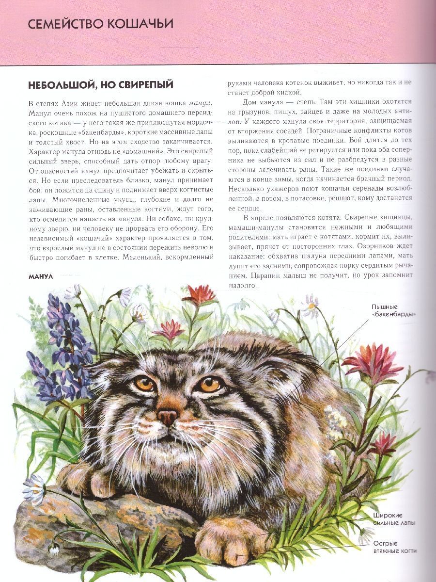 Обложка Животные. Полная энциклопедия, издательство ЭКСМО | купить в книжном магазине Рослит