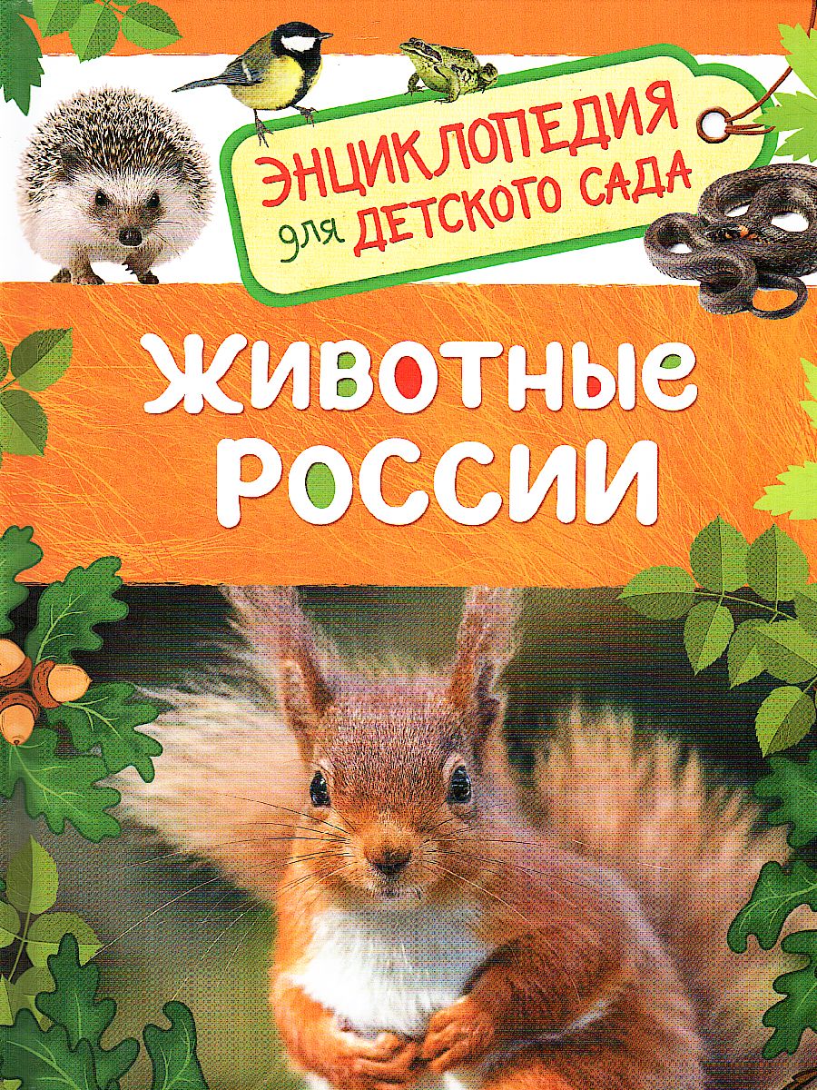 Обложка Животные России. Энциклопедия для детского сада, издательство РОСМЭН | купить в книжном магазине Рослит