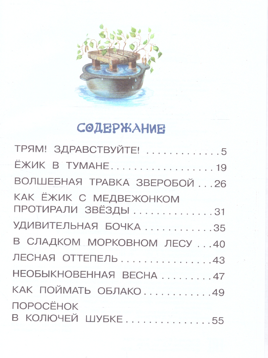 Обложка книги Сказки о Ёжике и Медвежонке, Автор Козлов С.Г., издательство АСТ | купить в книжном магазине Рослит