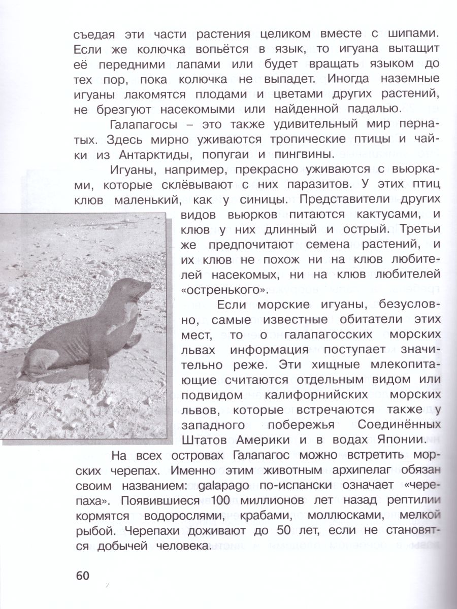 Обложка книги Комплексные диагностические работы в начальной школе 3 класс. ФГОС, Автор Матвеева Е.И. Бахтина С.В., издательство Просвещение/Союз                                   | купить в книжном магазине Рослит