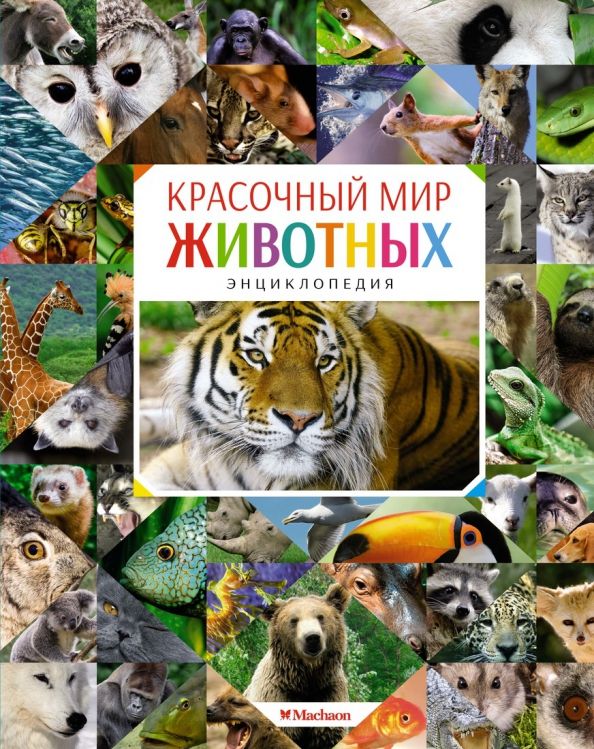 Обложка Энциклопедии, издательство Махаон | купить в книжном магазине Рослит