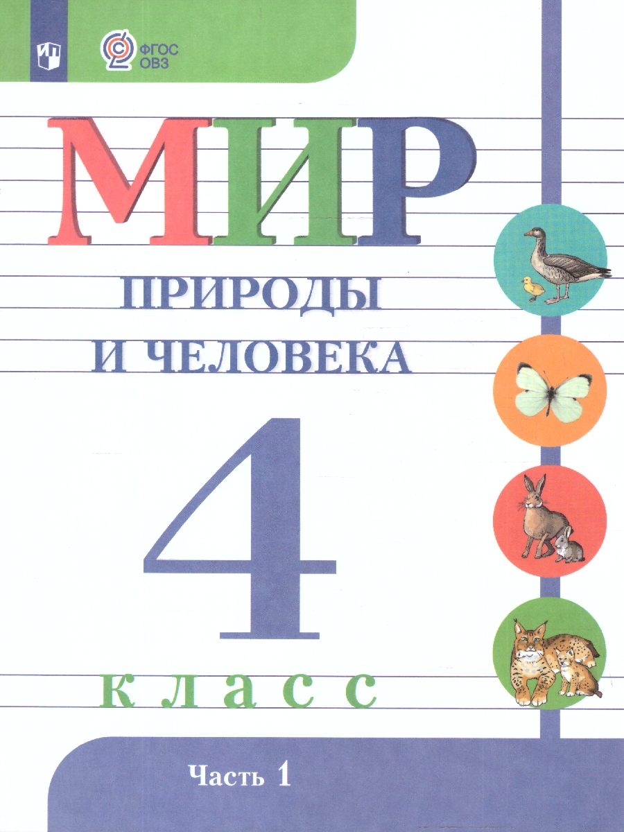 Обложка книги Мир природы и человека 4 класс. Учебник. В 2-х частях. ФГОС ОВЗ. Часть 1, Автор Матвеева Н.Б.;Ярочкина И.А.;Попова М.А., издательство Просвещение | купить в книжном магазине Рослит
