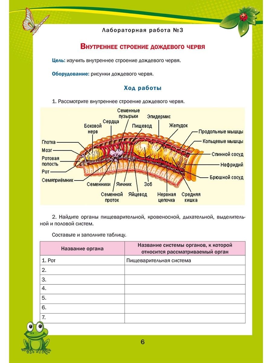 Обложка книги Лабораторный практикум. Биология 7 класс. Тетрадь для обучающихся, Автор Месникова И.А. Гренкова Л.Г., издательство Планета | купить в книжном магазине Рослит