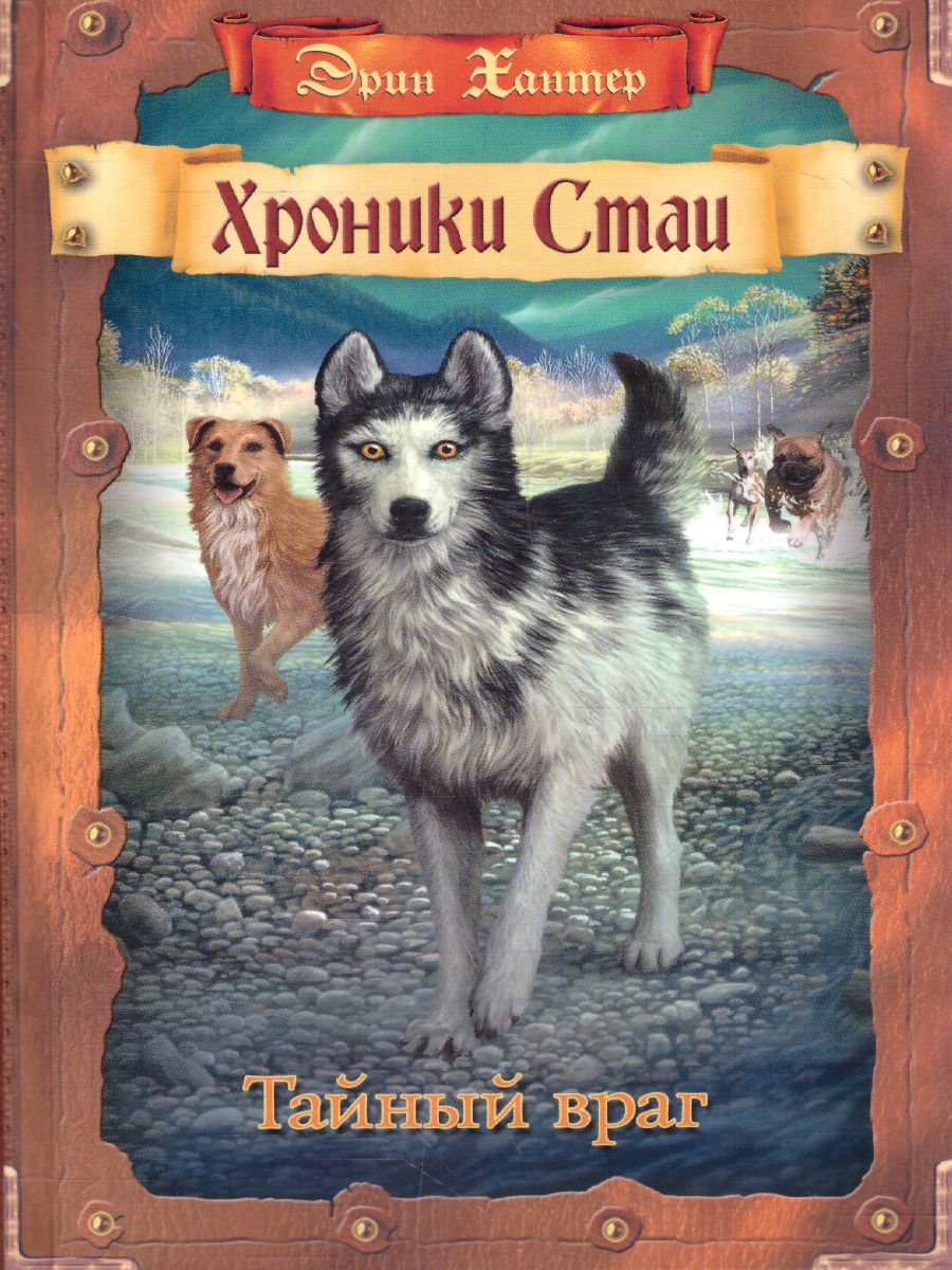 Обложка Хроники стаи. Тайный враг, издательство Просвещение/Союз                                   | купить в книжном магазине Рослит