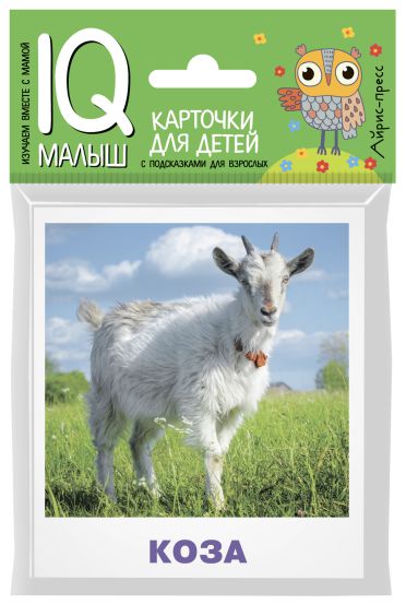 Обложка книги Умный малыш Домашние животные, Автор Ходюшина Н.П., издательство Айрис | купить в книжном магазине Рослит