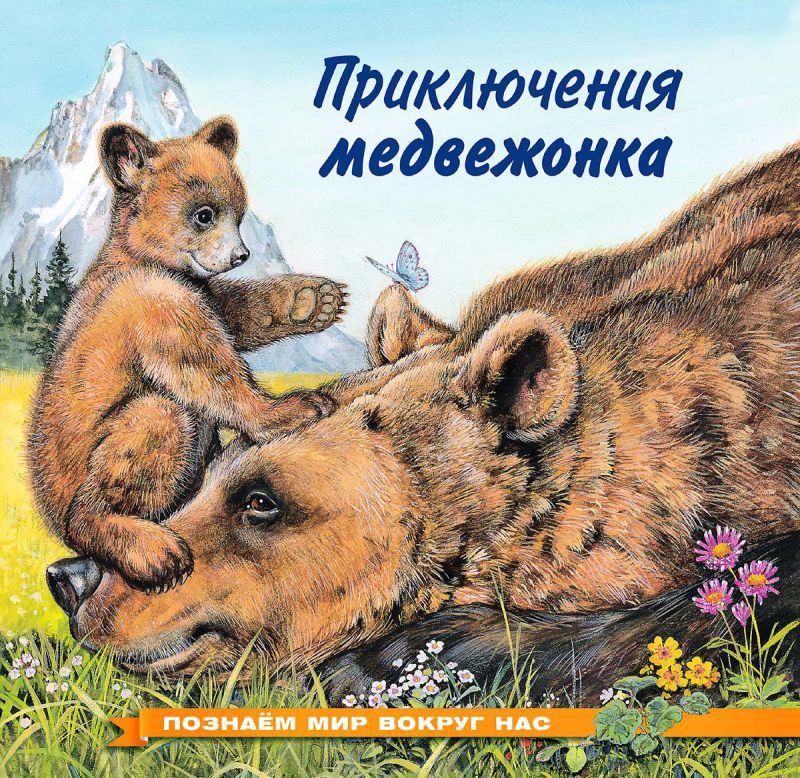 Обложка Познаем мир вокруг нас / Приключения медвежонка, издательство Фламинго | купить в книжном магазине Рослит
