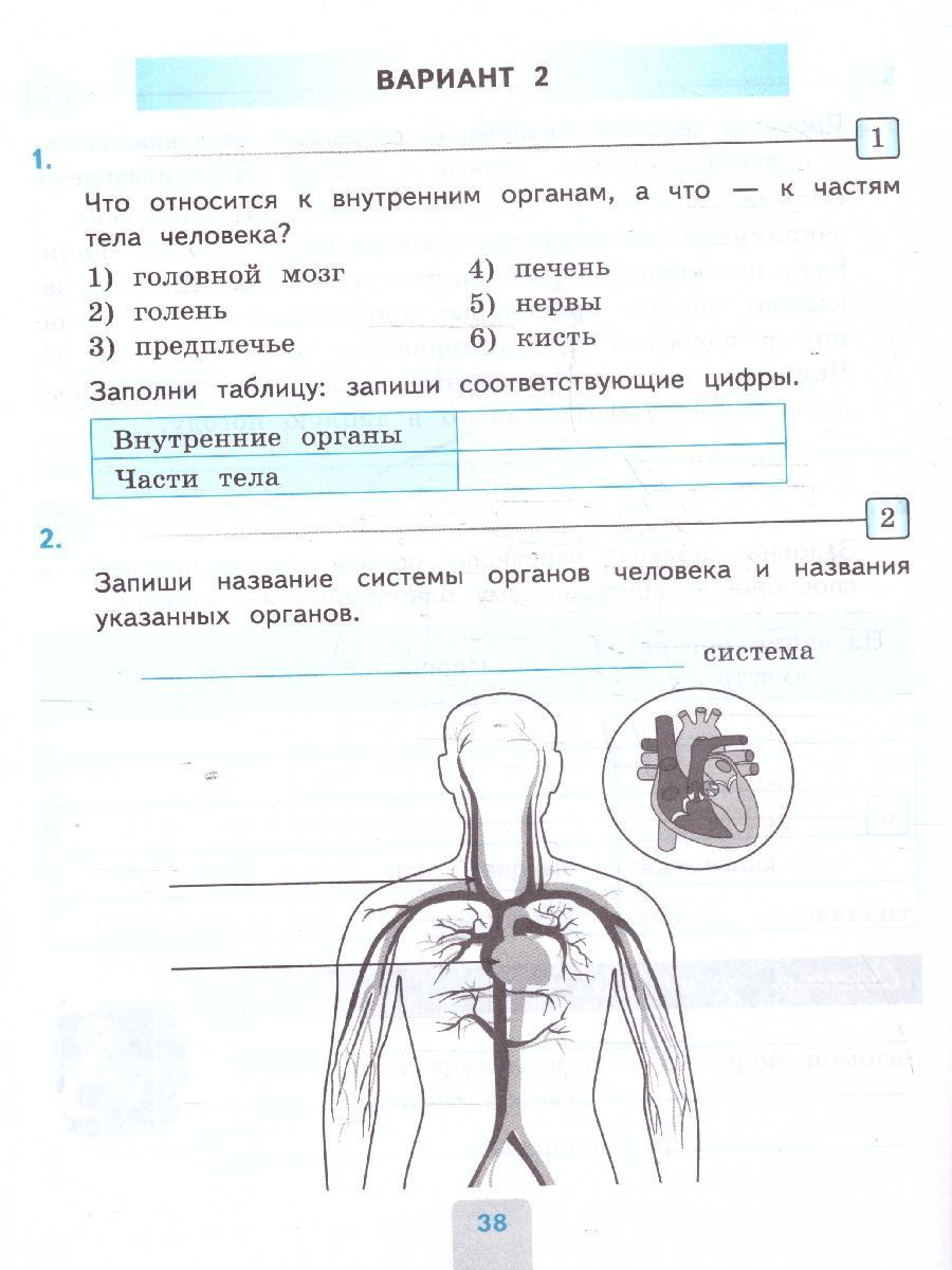 Обложка книги Окружающий мир 3 класс. Проверочные работы. ФГОС, Автор Погорелова Н. Ю., издательство Экзамен | купить в книжном магазине Рослит