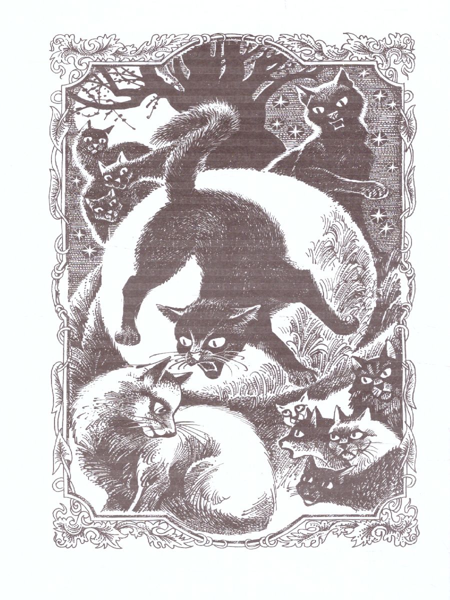 Обложка Цикл "Сила трех". Восход солнца / Коты-воители, издательство Просвещение/Союз                                   | купить в книжном магазине Рослит