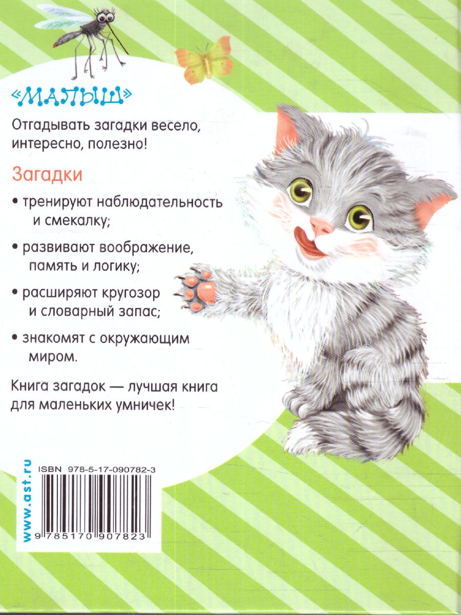 Обложка Книга загадок, издательство АСТ | купить в книжном магазине Рослит