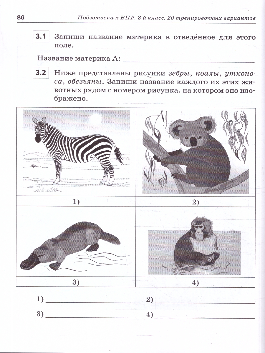 Обложка книги ВПР-2023. Русский язык, математика, окружающий мир 3 класс. Подготовка к ВПР. 15 тренировочных вариантов, Автор Кравцова С.А. Уринева С.А., издательство ЛЕГИОН | купить в книжном магазине Рослит