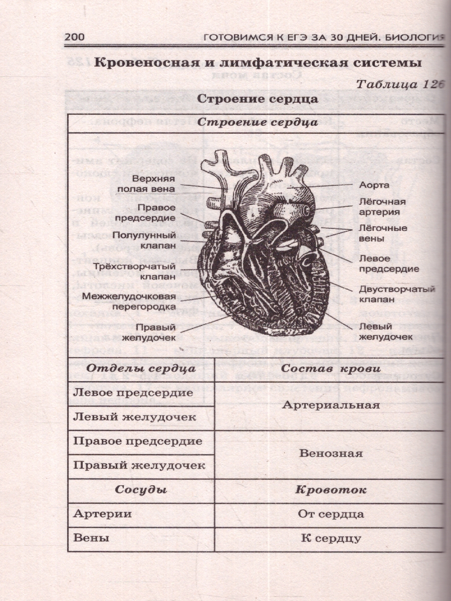 Обложка книги Готовимся к ЕГЭ за 30 дней. Биология, Автор Маталин А.В. Прилежаева Л.Г. Ковшикова О.И., издательство АСТ | купить в книжном магазине Рослит