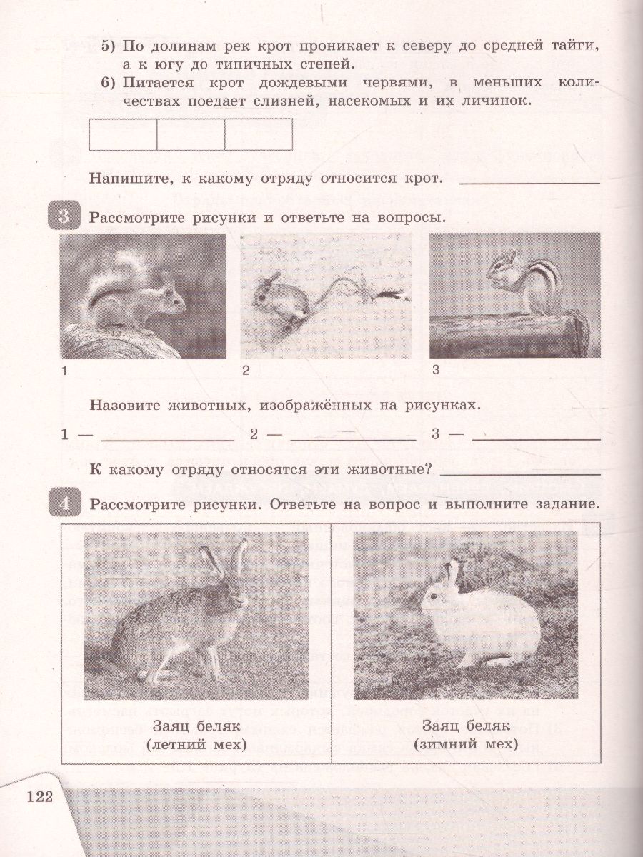 Обложка книги Биология 7 класс. Рабочая тетрадь, Автор Чередниченко И.П. Сивоглазов В.И., издательство Просвещение | купить в книжном магазине Рослит