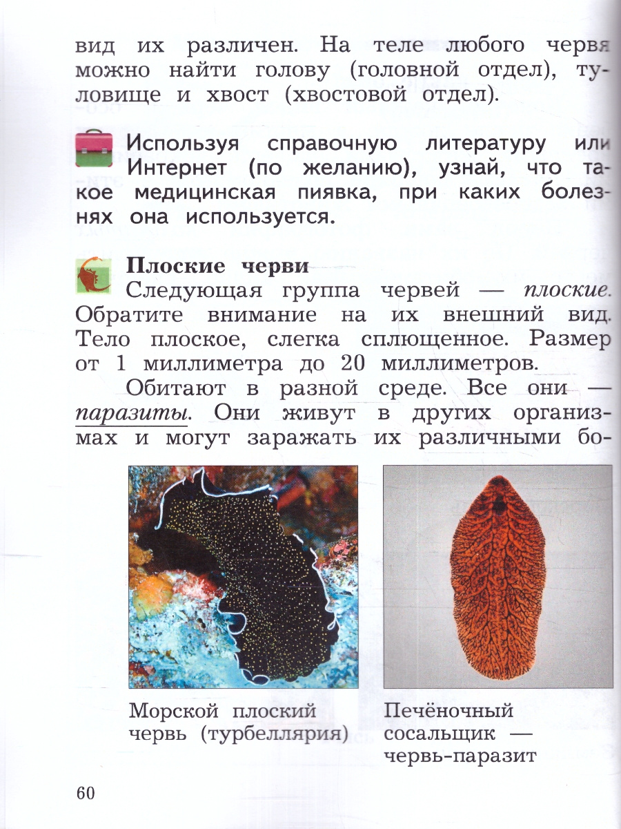 картинка Окружающий мир. 2 класс. Учебное пособие. В 2-х частях. Ч.2 от магазина Рослит