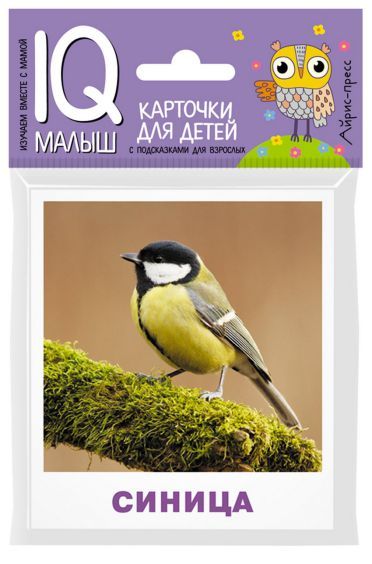 Обложка книги Умный малыш. Птицы. Набор карточек для детей, Автор Ходюшина Н.П., издательство Айрис | купить в книжном магазине Рослит
