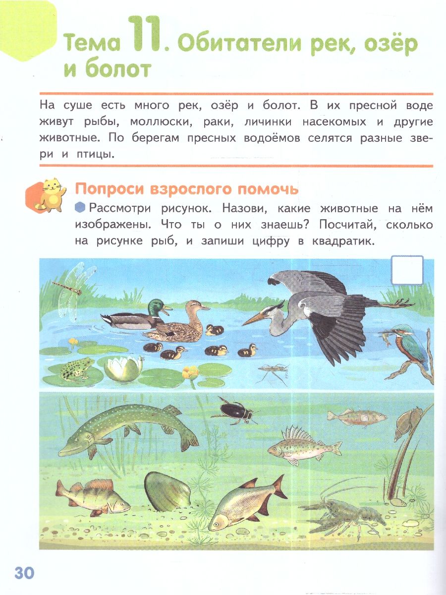 Обложка книги Готовимся к школе.Знакомлюсь с животными:развивающая тетрадь для детей подготов. группы ДОО. 6-7 лет, Автор Михайловская С.Н., издательство Мозаичный парк                                     | купить в книжном магазине Рослит