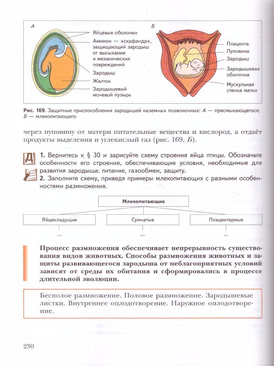 Обложка книги Биология 7 класс. Учебник. ФГОС, Автор Шаталова С.П. Сухова Т.С., издательство Просвещение/Союз                                   | купить в книжном магазине Рослит