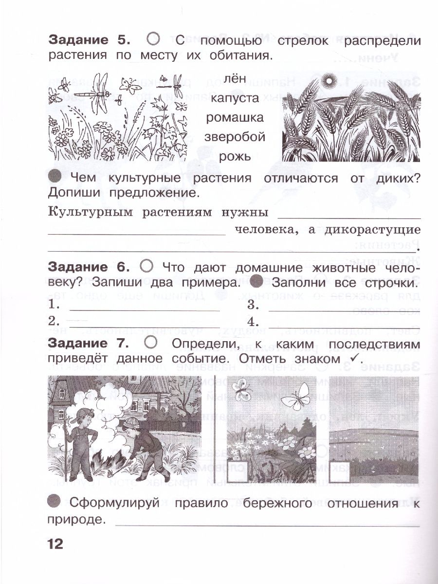 картинка Окружающий мир. Итоговые работы. 2 класс. (Лидер-кейс) от магазина Рослит