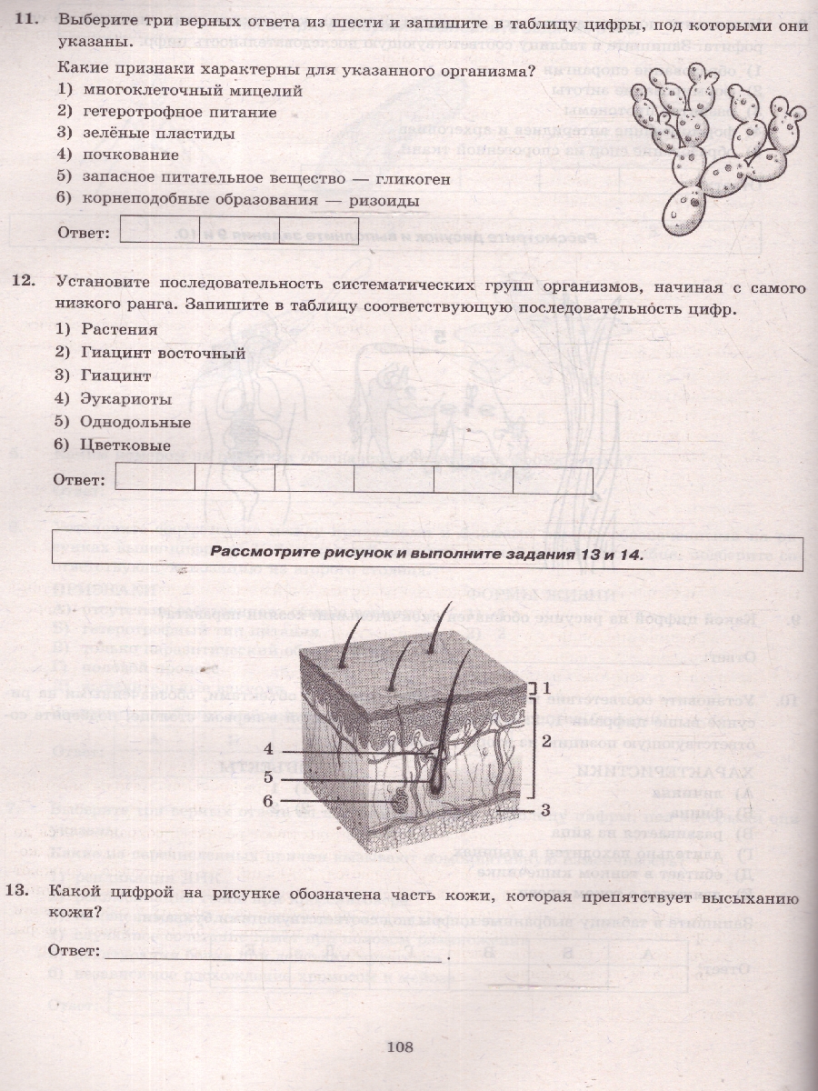 Обложка книги ЕГЭ 2025 Биология. Типовые варианты экзаменационных заданий. 12 вариантов. ФИПИ, Автор Мазяркина Т. В.; Первак С. В., издательство Экзамен | купить в книжном магазине Рослит