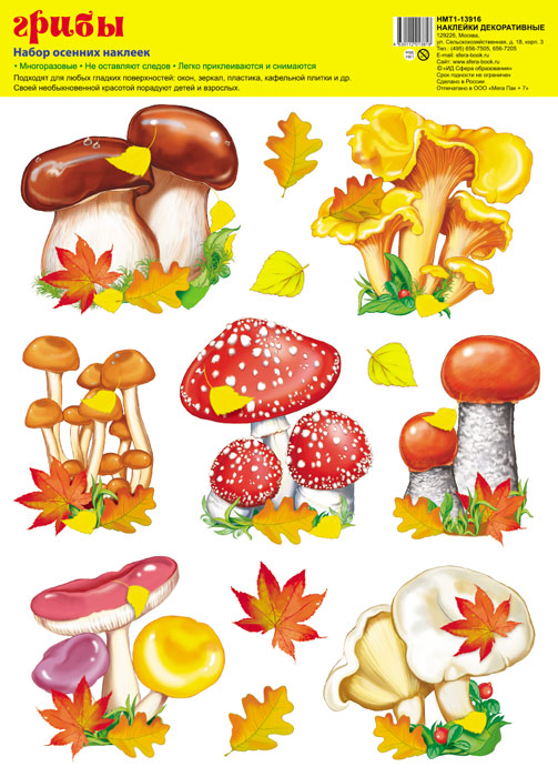 Обложка книги Набор осенних наклеек Грибы А4 НМТ1-13916 (Сфера), Автор НМТ1-13916, издательство Сфера | купить в книжном магазине Рослит
