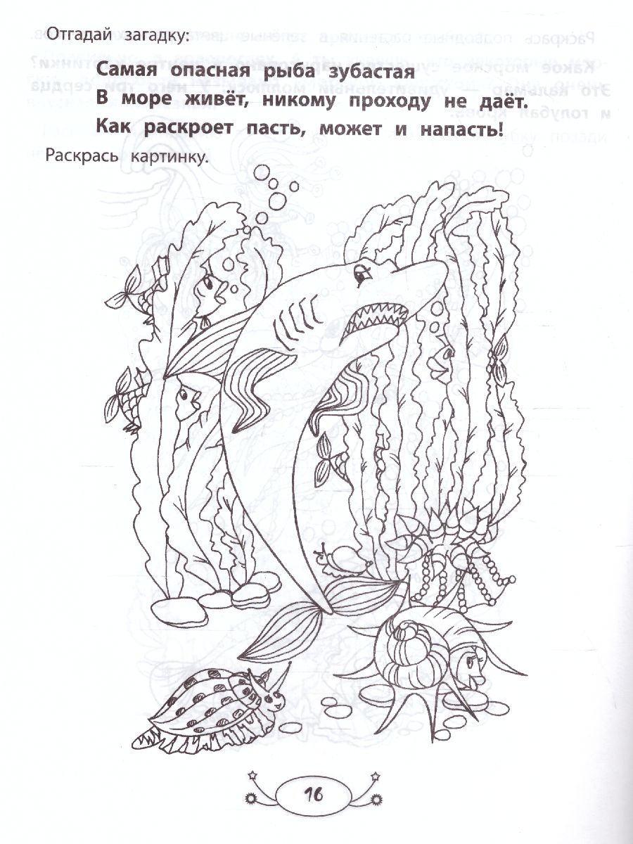 Обложка книги Жители моря: раскраска с заданиями и загадками, Автор Заболотная, издательство Феникс ТД                                          | купить в книжном магазине Рослит