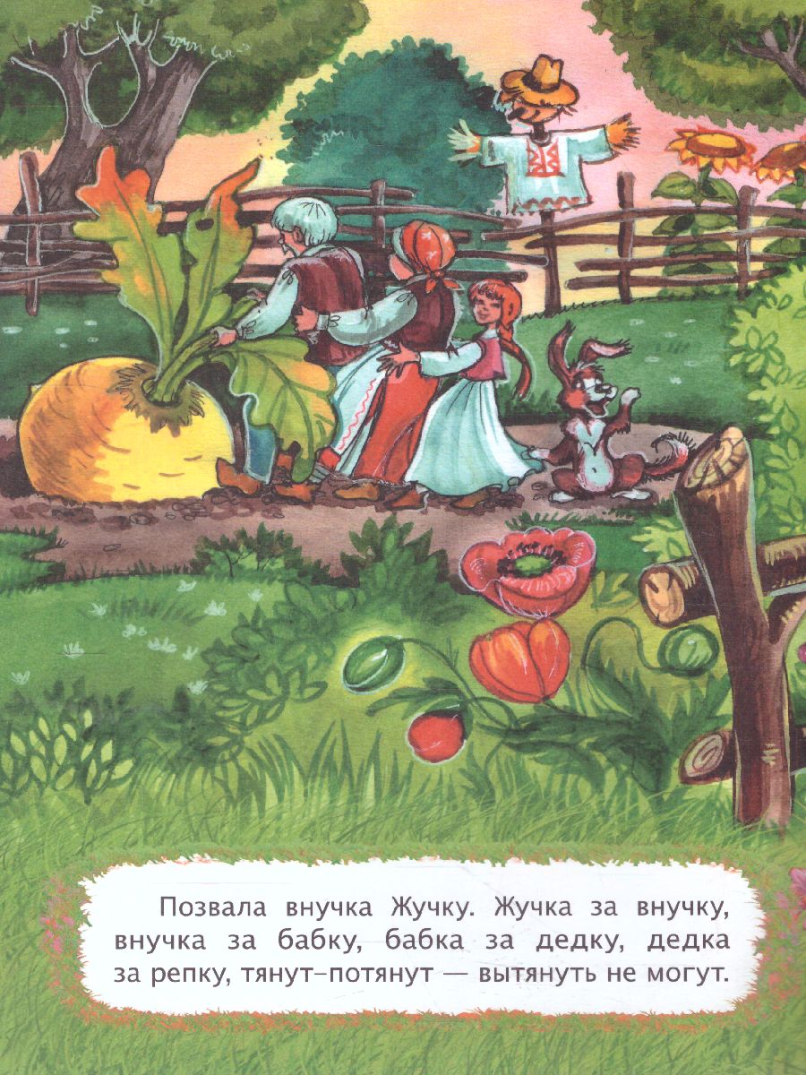 Обложка книги Репка (по мотивам русской сказки): для дошкольного возраста, Автор , издательство Учитель | купить в книжном магазине Рослит