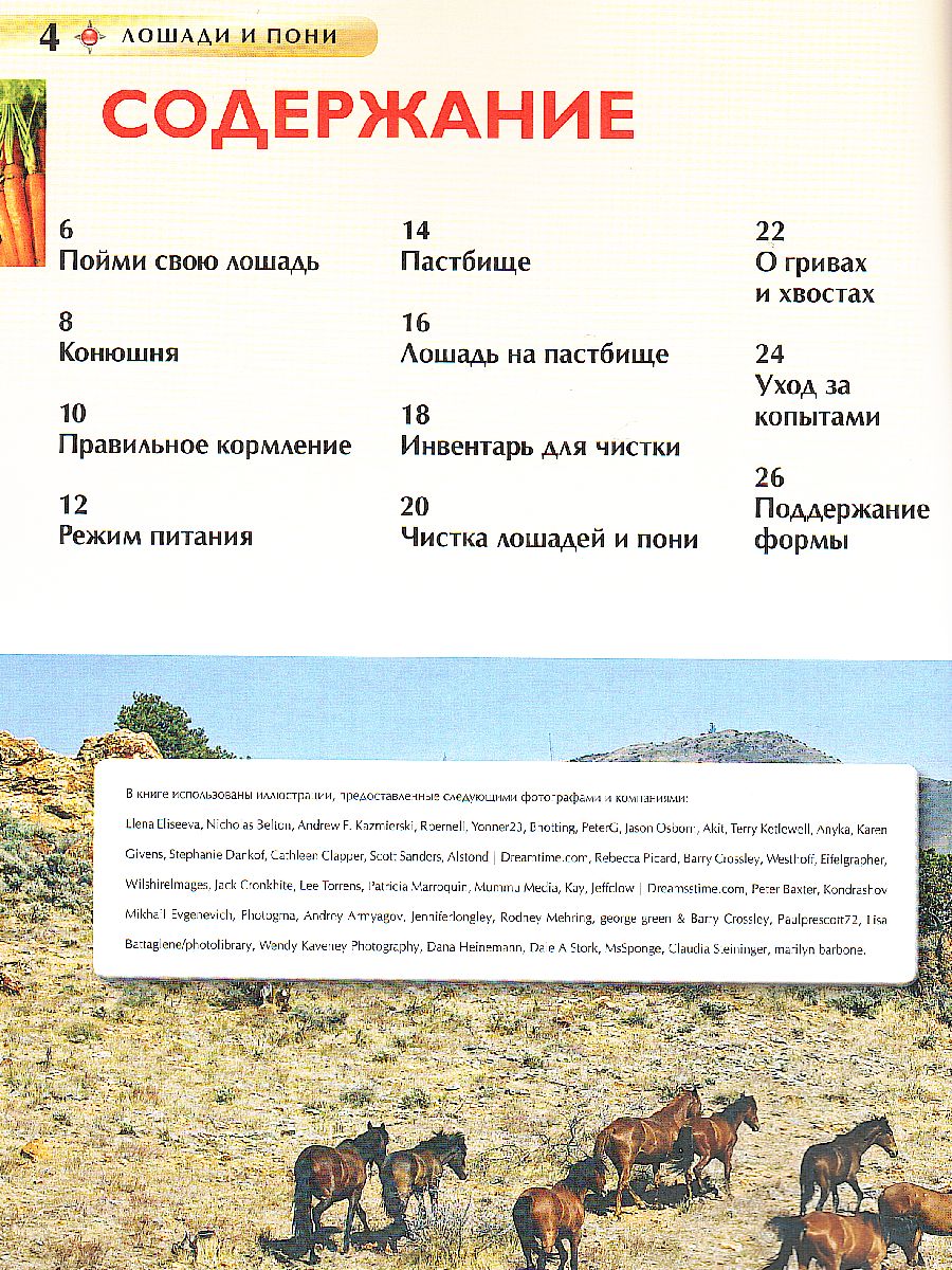 Обложка Лошади и пони, издательство РОСМЭН | купить в книжном магазине Рослит