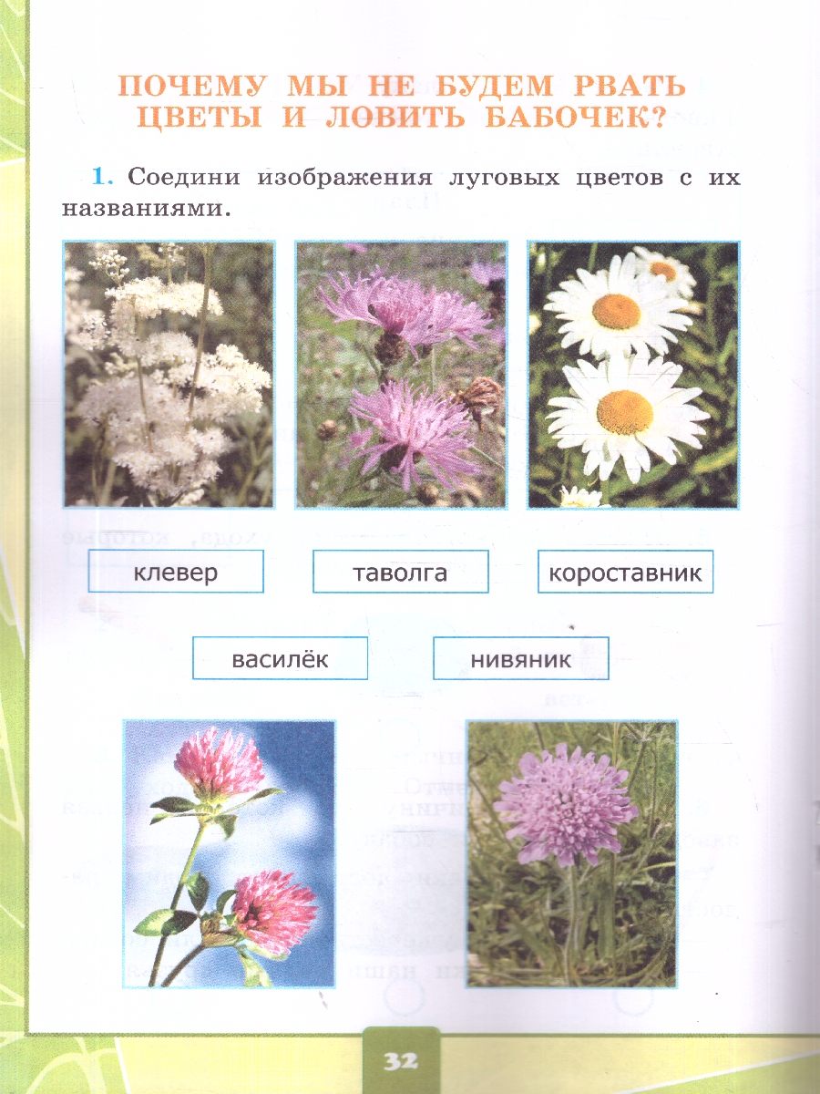 Обложка книги Окружающий мир 1 класс. Тетрадь для практических работ №2 с дневником наблюдений. ФГОС Новый, Автор Тихомирова Е. М., издательство Экзамен | купить в книжном магазине Рослит