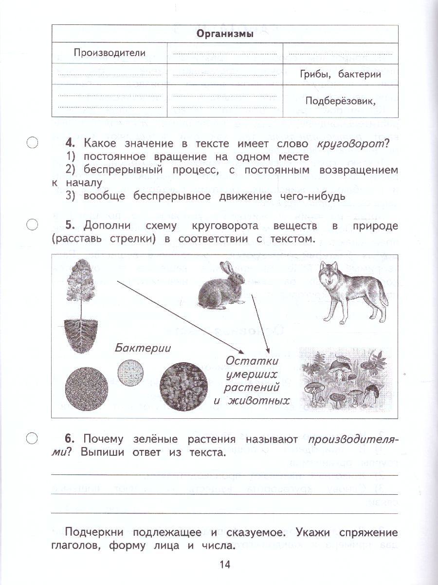 Обложка книги Обучающие комплексные работы 4 класс. ФГОС, Автор Калинина О.Б., издательство Просвещение/Союз                                   | купить в книжном магазине Рослит