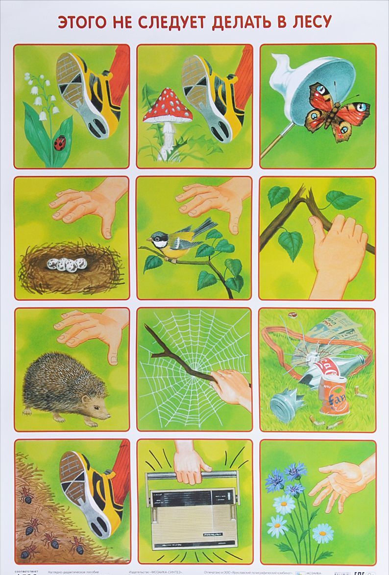 Обложка книги Плакат Этого не следует делать в лесу. Экологичесое воспитание, Автор Николаева С.Н., издательство Мозаика-Синтез | купить в книжном магазине Рослит