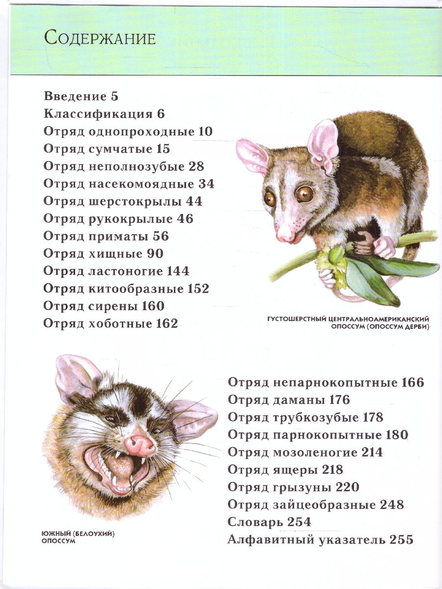 Обложка Животные. Полная энциклопедия, издательство ЭКСМО | купить в книжном магазине Рослит