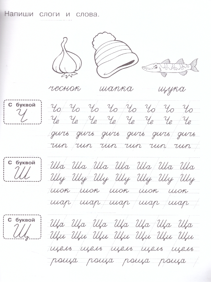 Обложка книги Прозрачные прописи. Учимся соединять курсивные буквы. 5+. М. А. Жукова. 48 стр.(Умк, Автор Жукова М. А., издательство Умка                                               | купить в книжном магазине Рослит