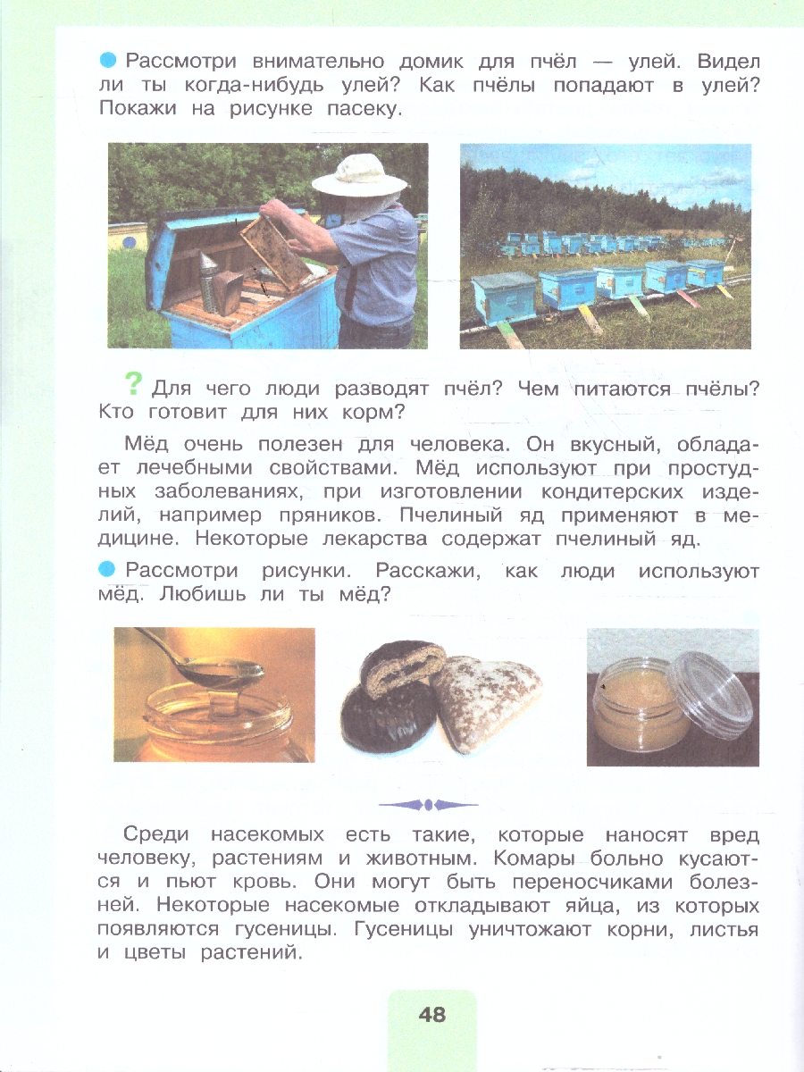 Обложка книги Мир природы и человека 4 класс. Учебник. В 2-х частях. Часть 2. ФГОС ОВЗ, Автор Матвеева Н. Б.; Ярочкина И. А.; Попова М. А., издательство Просвещение | купить в книжном магазине Рослит