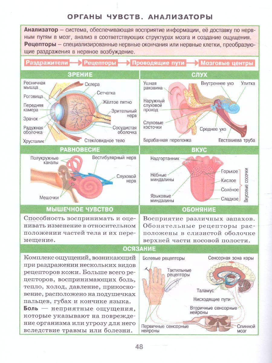 Обложка книги Биология 7-11 класс. Справочник в таблицах, Автор , издательство Айрис | купить в книжном магазине Рослит