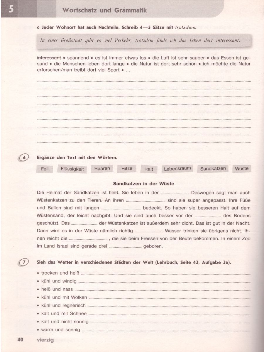 Обложка книги Немецкий язык 8 класс. Второй иностранный язык. Сборник грамматических упражнений, Автор Лытаева М.А., издательство Просвещение | купить в книжном магазине Рослит