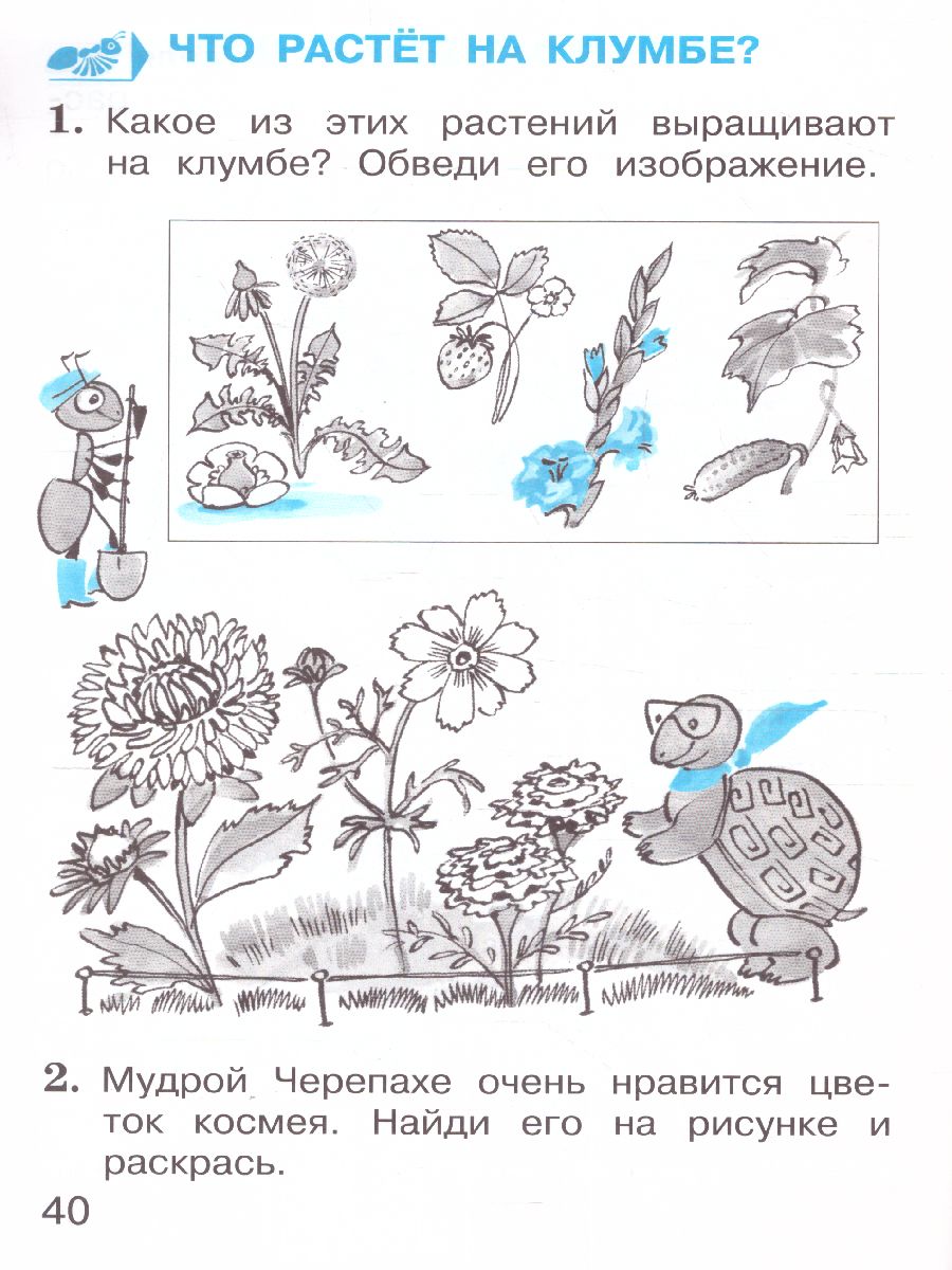 Обложка книги Плешаков Окруж. мир. Тетрадь для тренировки и самопроверки 1кл. ч.1._новая(ВИТА), Автор Плешаков А. А., издательство Вита-Пресс | купить в книжном магазине Рослит