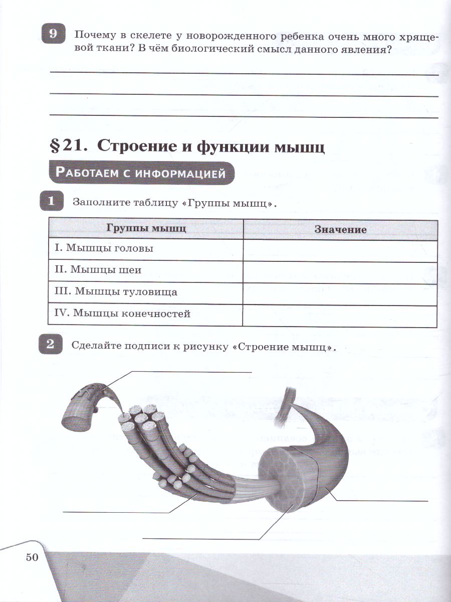 Обложка книги Биология 8 класс. Рабочая тетрадь, Автор Алексеева Е.В. Сивоглазов В.И., издательство Просвещение | купить в книжном магазине Рослит
