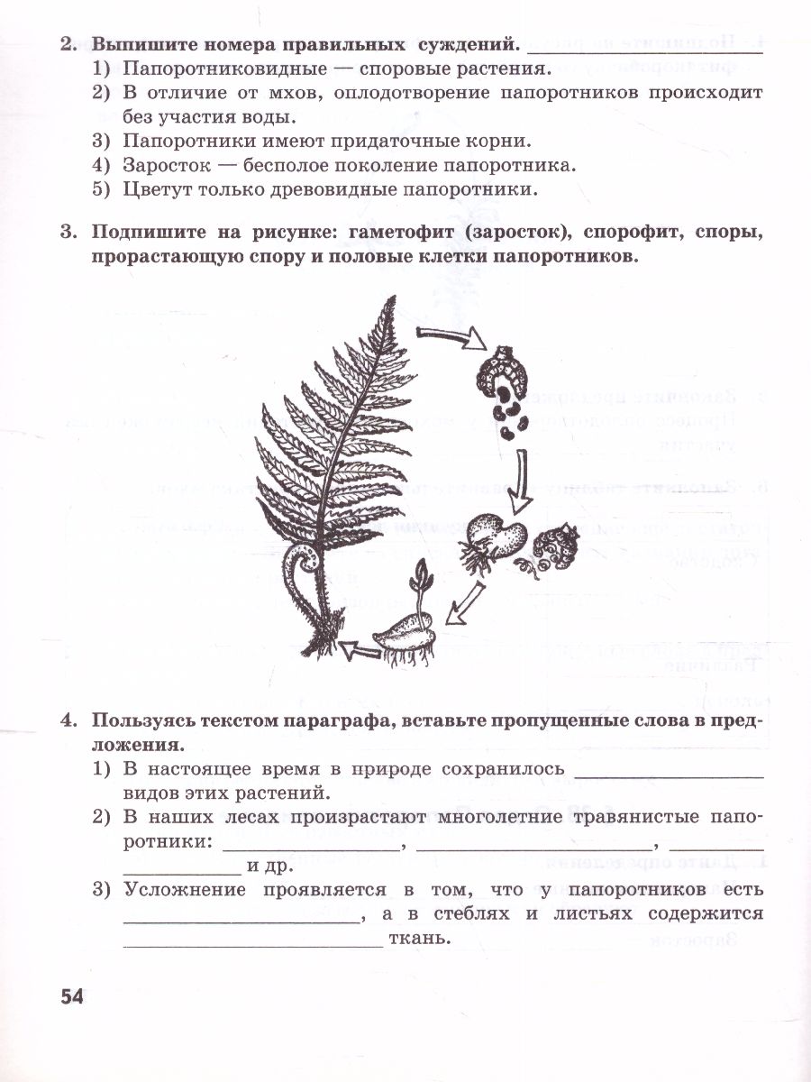 Обложка книги Биология 6 класс. Рабочая тетрадь. ФГОС, Автор Исаева Т.А. Романова Н.И., издательство Русское слово | купить в книжном магазине Рослит