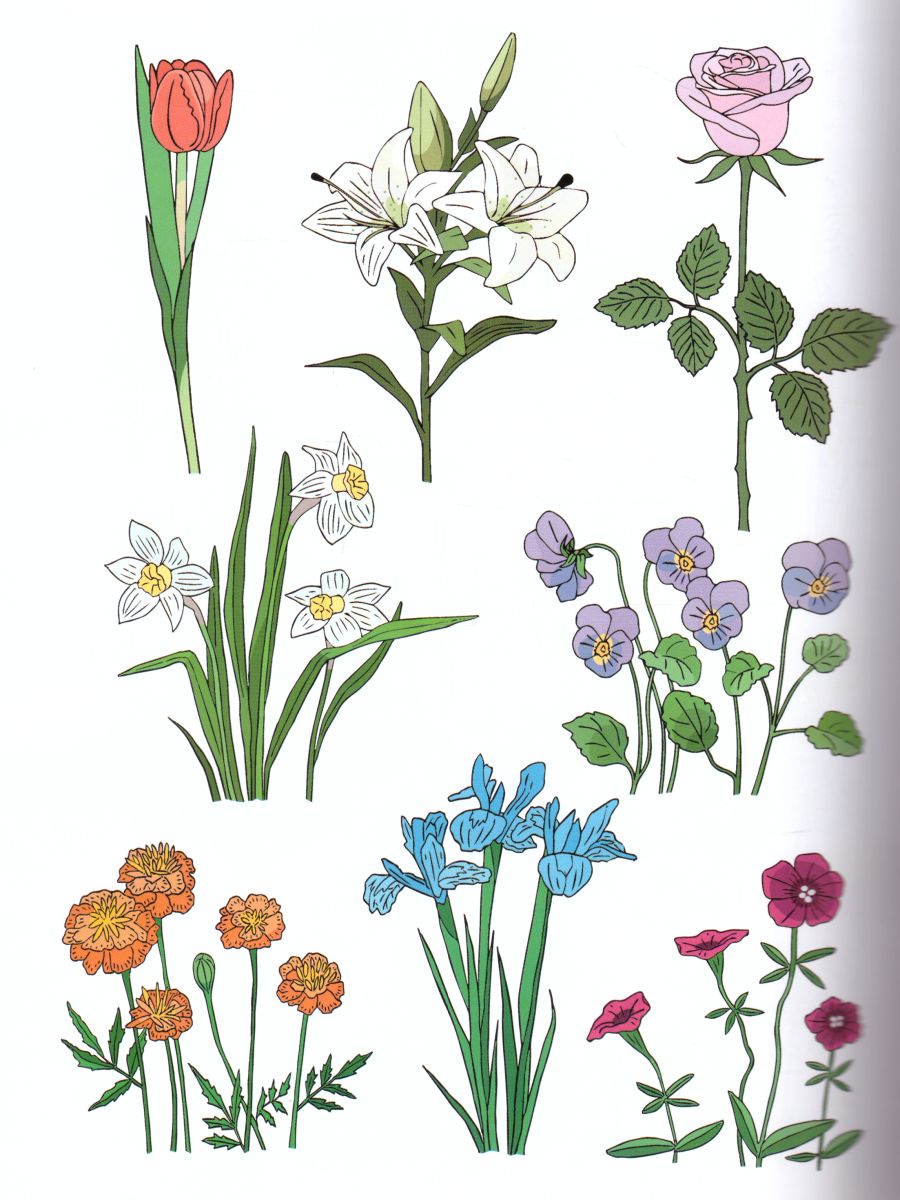 Обложка книги Садовые цветы. Дидактический материал по лексической теме (5-7 лет). ФГОС, Автор , издательство ДЕТСТВО-ПРЕСС | купить в книжном магазине Рослит