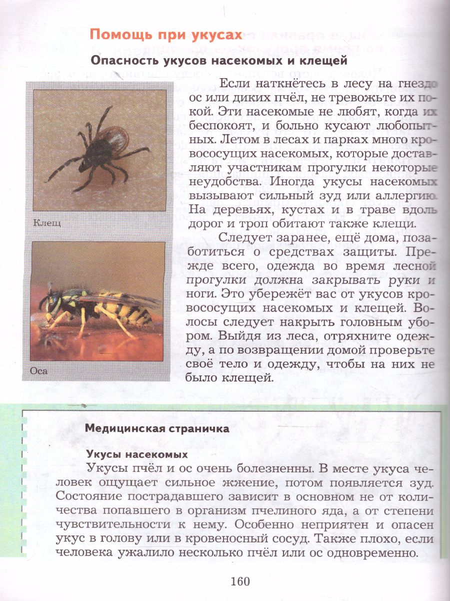 Обложка книги ОБЖ 5-7 класс. Учебник. ФГОС, Автор Виноградова Н.Ф. Смирнов Д.В. Сидоренко Л.В., издательство Просвещение | купить в книжном магазине Рослит