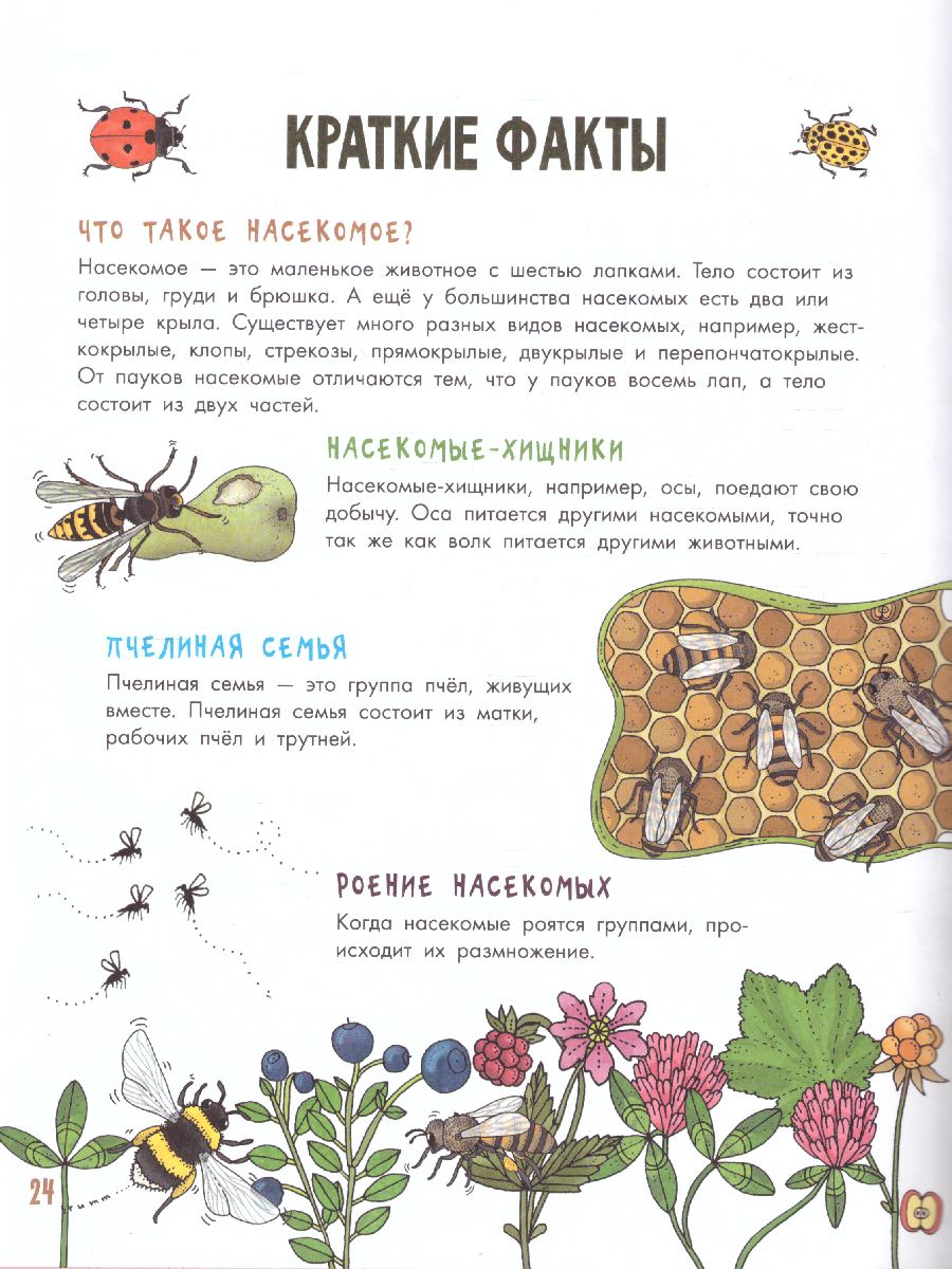 Обложка Насекомы /МояПервКнига, издательство АСТ | купить в книжном магазине Рослит