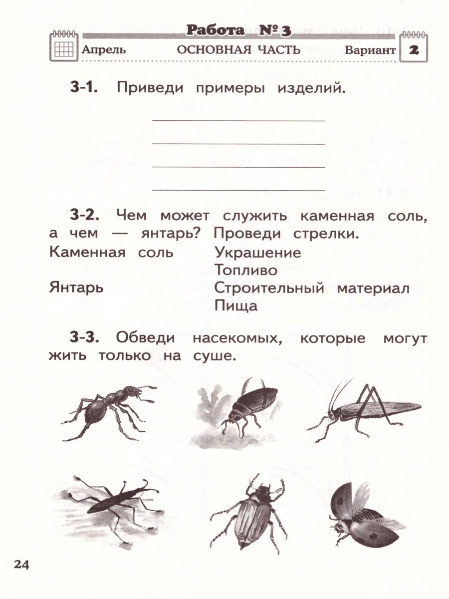 картинка Окружающий мир 2 класс. Проверочные и диагностические работы. ФГОС от магазина Рослит