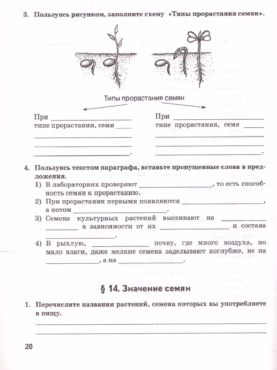 Обложка книги Биология 6 класс. Рабочая тетрадь. ФГОС, Автор Исаева Т.А. Романова Н.И., издательство Русское слово | купить в книжном магазине Рослит