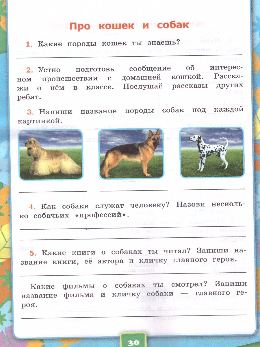 Обложка книги Окружающий мир 2 класс. Рабочая тетрадь. Часть 1. ФГОС (к новому ФПУ), Автор Соколова Н.А., издательство Экзамен | купить в книжном магазине Рослит