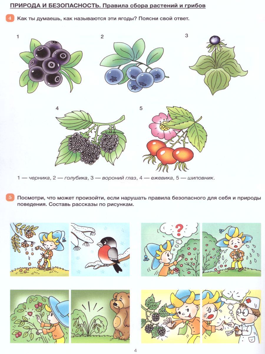 Обложка книги Формирование культуры безопасности. Старшая группа. Рабочая тетрадь, Автор Тимофеева Л.Л., издательство ДЕТСТВО-ПРЕСС | купить в книжном магазине Рослит